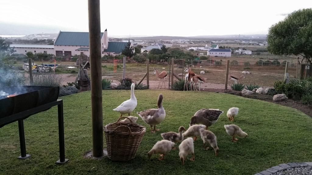 The Stables Accommodation Langebaan Bilik gambar